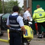 Zika’yi bulastiran Aedes sinegi Hollanda’da