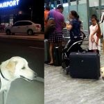 Madalyonun Öteki Yüzü