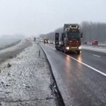 Hollandali yönetmen Altin Küre Ödülünü kazandi