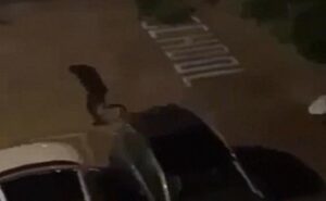 silahli saldirida 1 kisi oldu