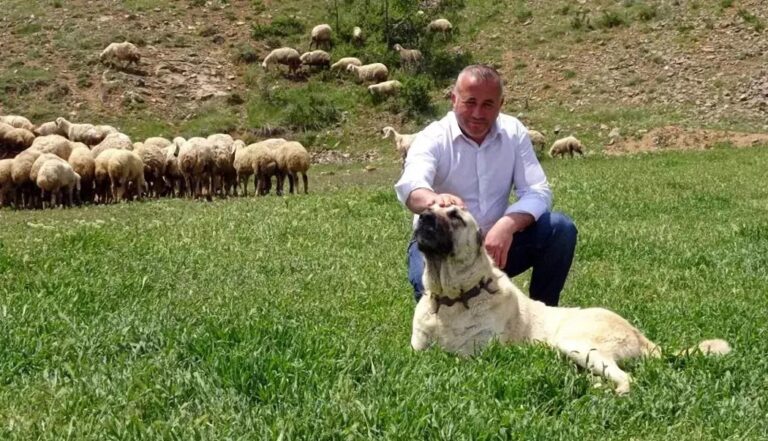 ulvi akdemir 22 yil sonra memleketine dondu1