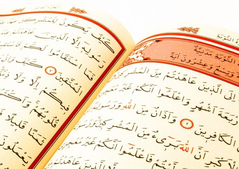 İSLAMİYETİ SEÇEN İTALYAN ASILLI SANDY Dİ BETTA HOLLANDA’DA KUR’AN YAKILMASINA SON KAMPANYASI BAŞLATTI