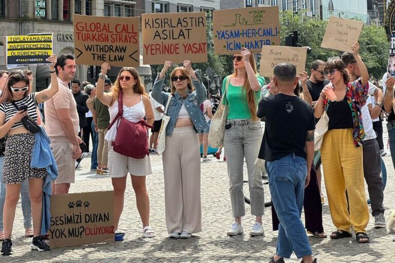 tip türkiyedeki hayvan yasasini amsterdam da protesto etti3