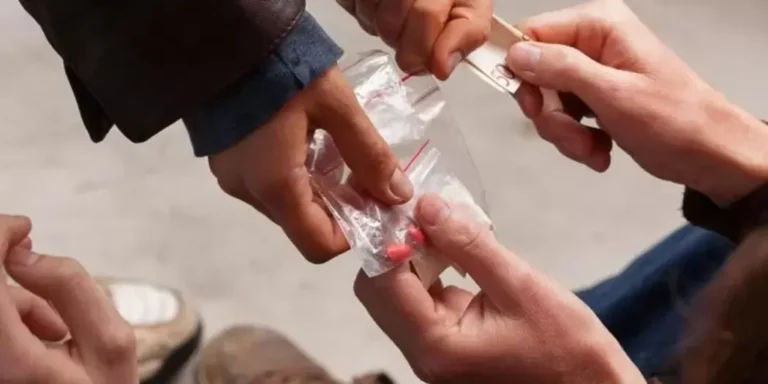 Hollanda, Küresel Uyuşturucu Ticareti Merkezi Olmaya Devam Ediyor