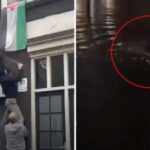 Cumhurbaşkanı Erdoğan, Hollanda Başbakanı Schoof ile bir araya geldi