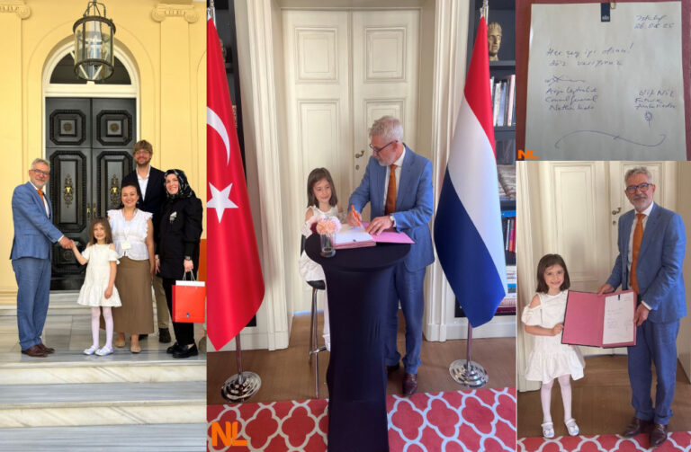 Elifin hayali