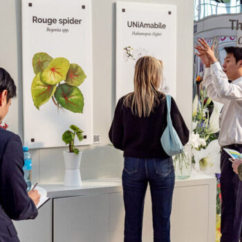 Küresel Süs Bitkileri Sektörü IFTF 2025’te Bir Araya Geliyor