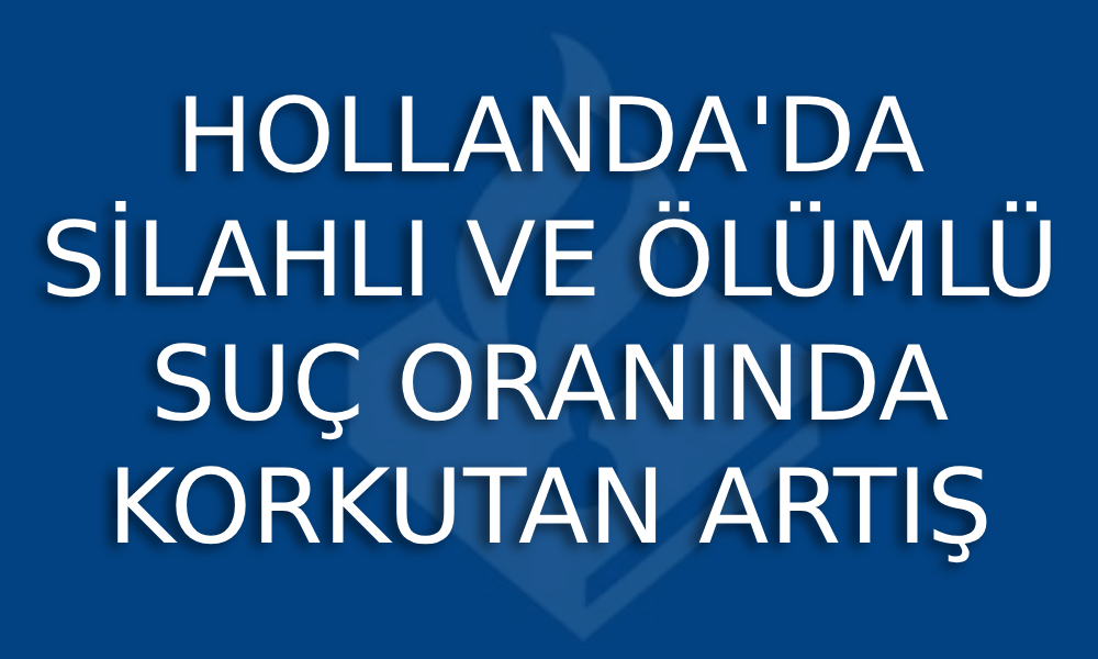 hollandanın suç analizi