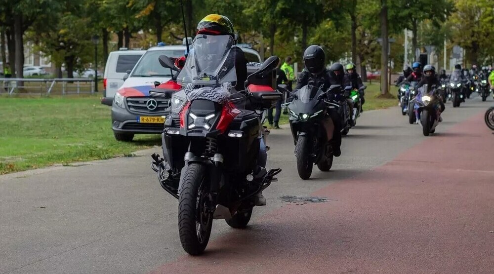 motorculardan f (1)