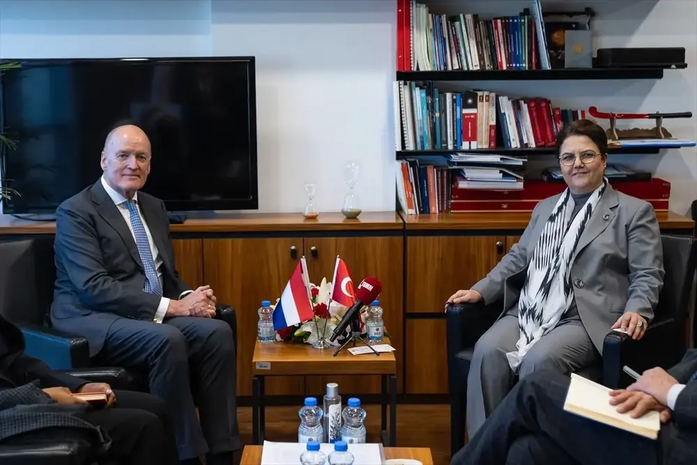 tbmm-insan-haklarini-inceleme-ko