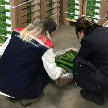 corlu-dan-hollanda-ya-salatalik-