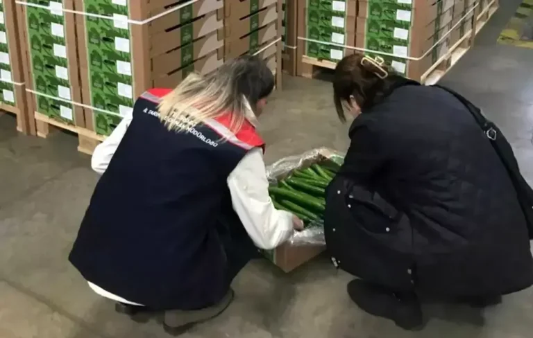 corlu-dan-hollanda-ya-salatalik-