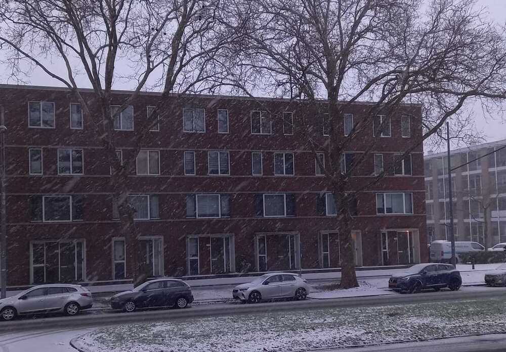 Hollanda Genelinde Kar Alarmı: KNMI Code Geel Uyarısını Pazar Gününe Kadar Uzattı