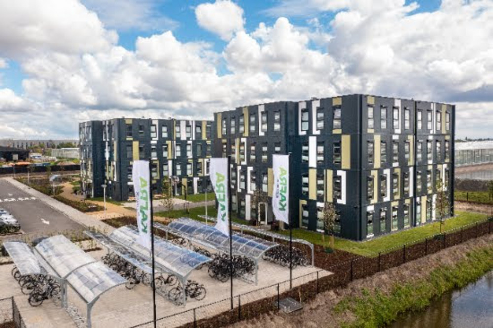 hollandalılar göçmenlerle komşu