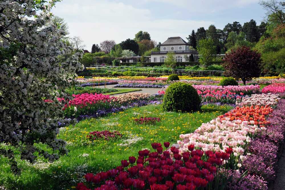 MÜNİH BOTANİK BAHÇESİ – DOĞA SEVERLER İÇİN BİR CENNET