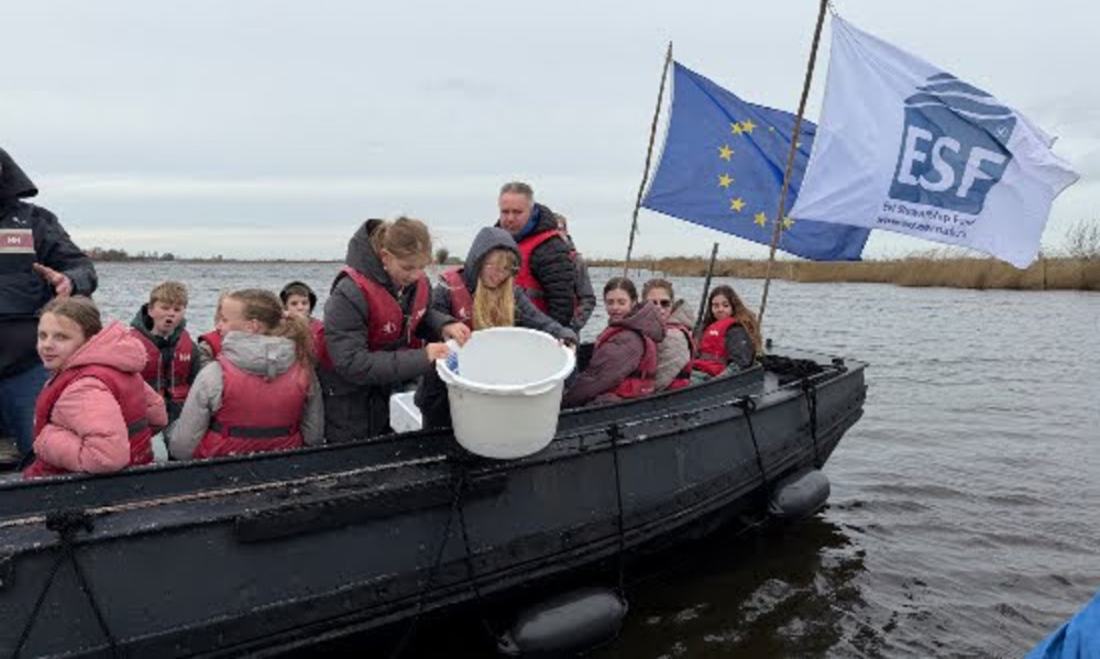 yılan balıkları salındı1 (1)