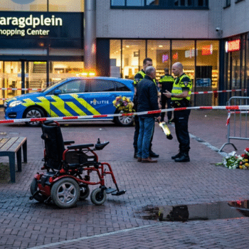 tekerlekli sandalyedeki adamı ya