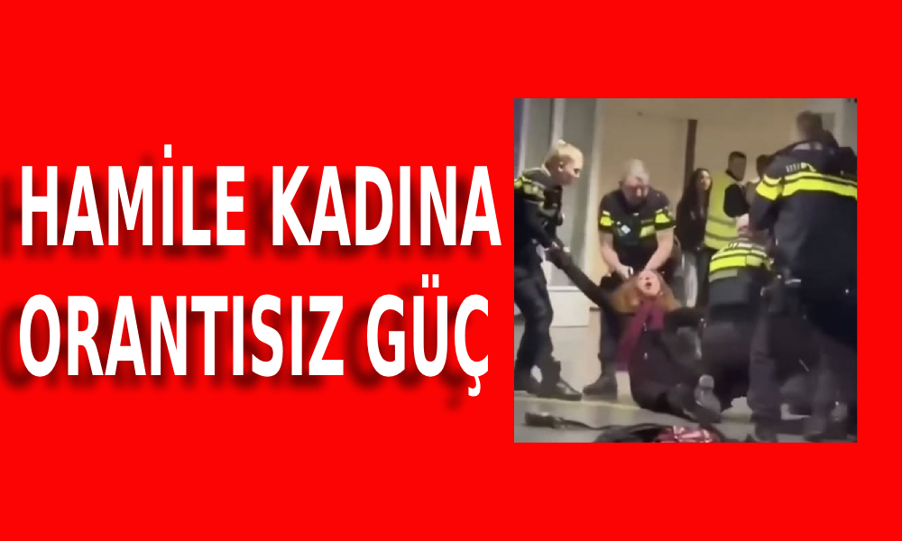 hamile kadına şiddet