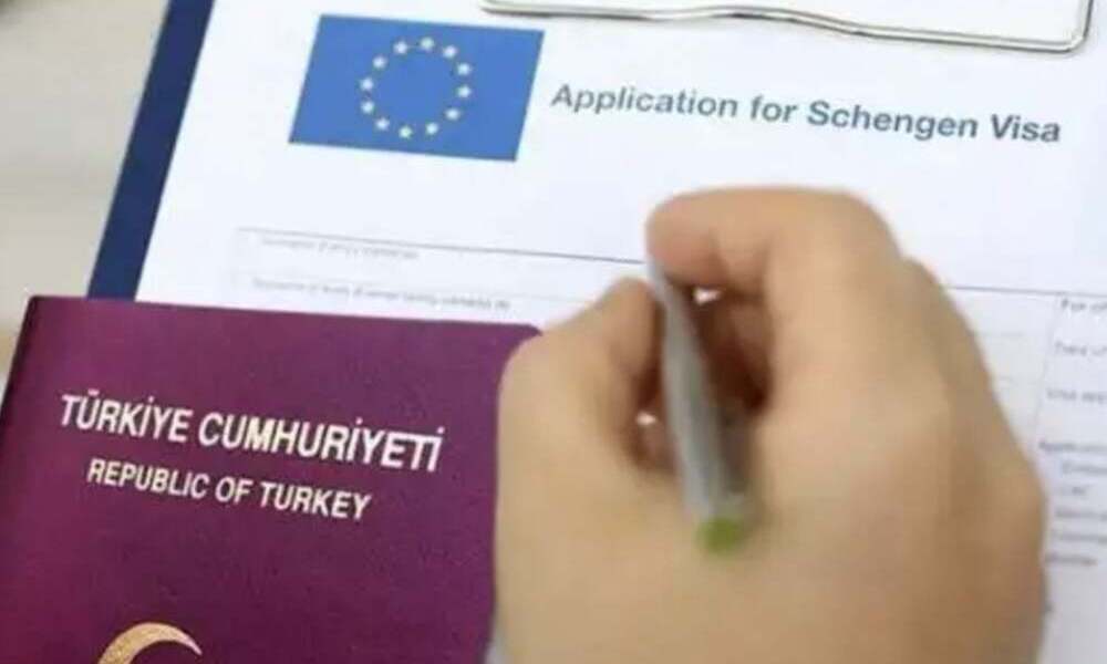 vize pas