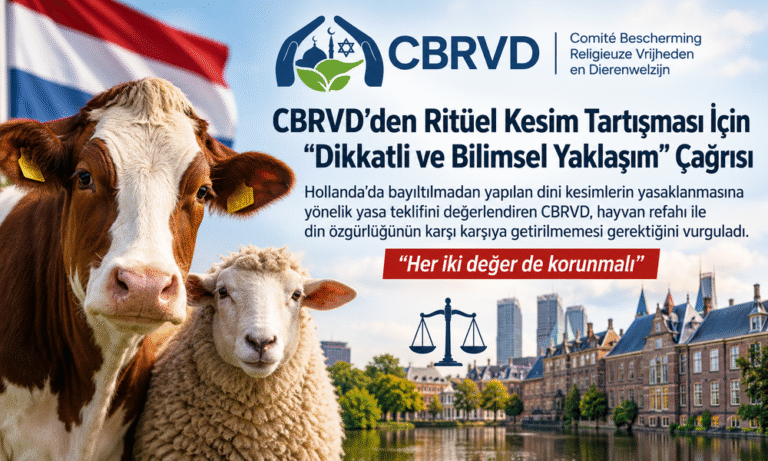 CBRVD’den Ritüel Kesim