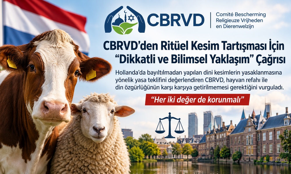CBRVD’den Ritüel Kesim